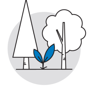 CBTEValue7
