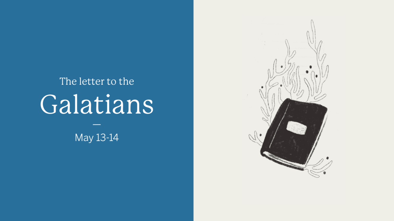In the Book - Galatians - Banner